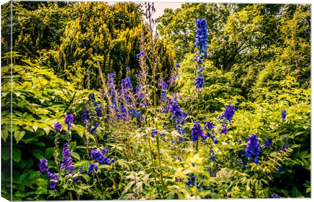Flowers of Howick Hall Canvas Print by Naylor's Photography