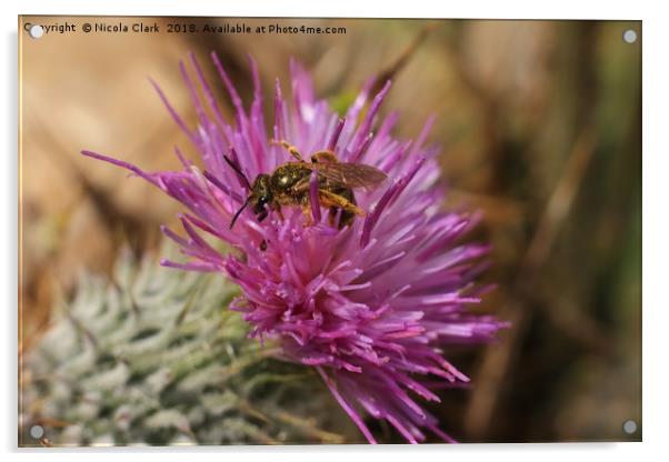 Bee On A Thistle Acrylic by Nicola Clark