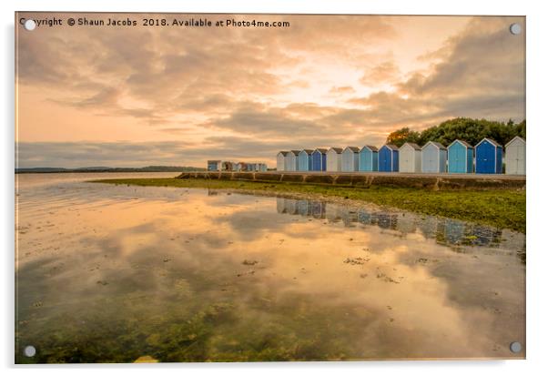 Beach huts reflections  Acrylic by Shaun Jacobs