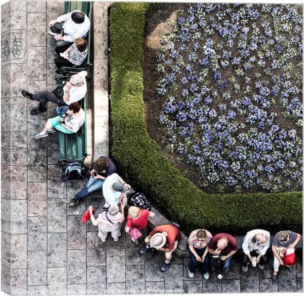 People rest on the benches Canvas Print by Sergio Delle Vedove