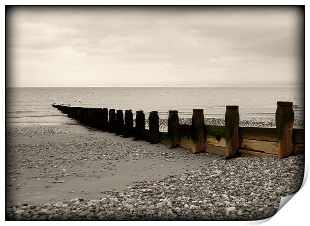 Sussex Beach Print by samantha bartlett