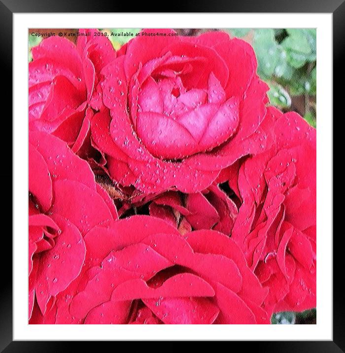 Wild Roses In The Rain Framed Mounted Print by Kate Small
