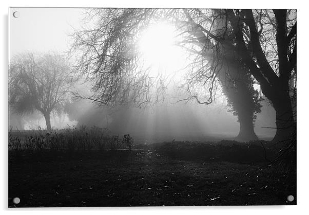 Misty Morning 4 Acrylic by Christine Lake