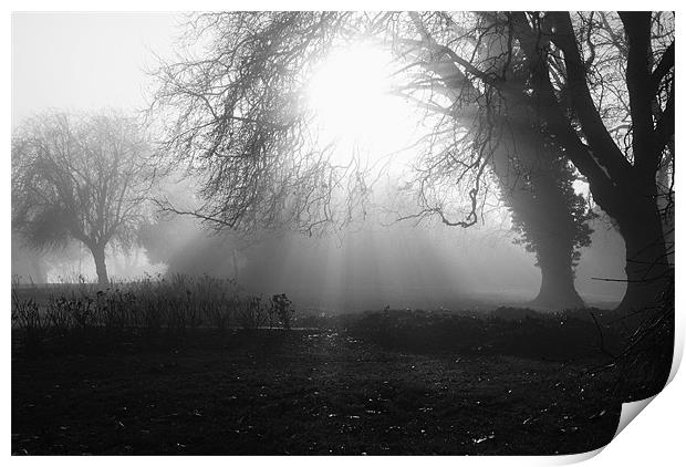 Misty Morning 4 Print by Christine Lake