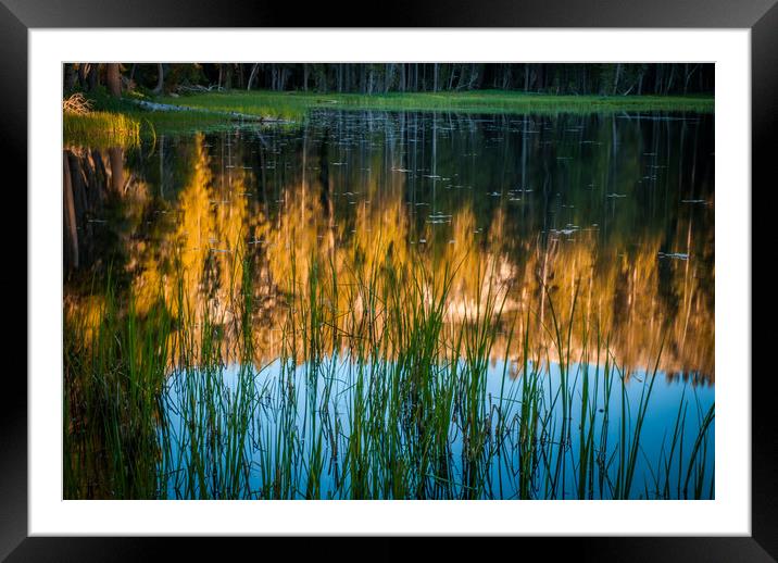 Reflection in a Pond Framed Mounted Print by George Robertson