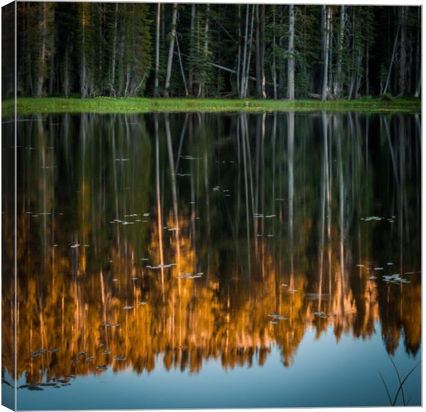 Reflection in a Pond Canvas Print by George Robertson