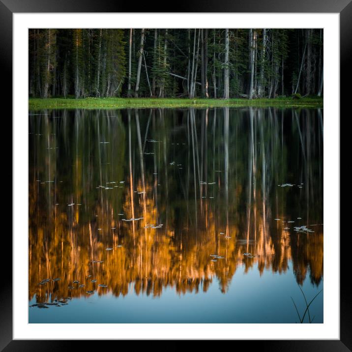 Reflection in a Pond Framed Mounted Print by George Robertson