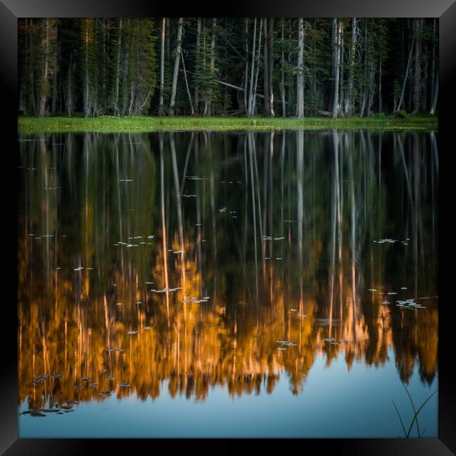Reflection in a Pond Framed Print by George Robertson