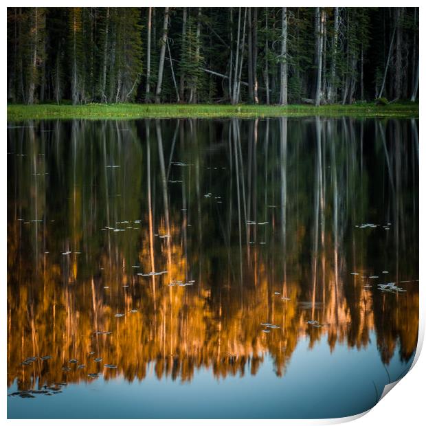 Reflection in a Pond Print by George Robertson
