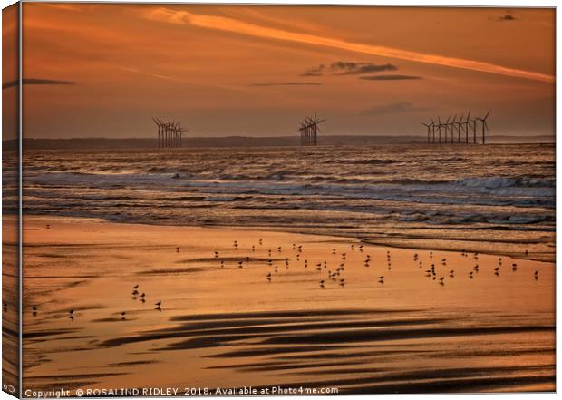 "Bronze sunset at Saltburn " Canvas Print by ROS RIDLEY