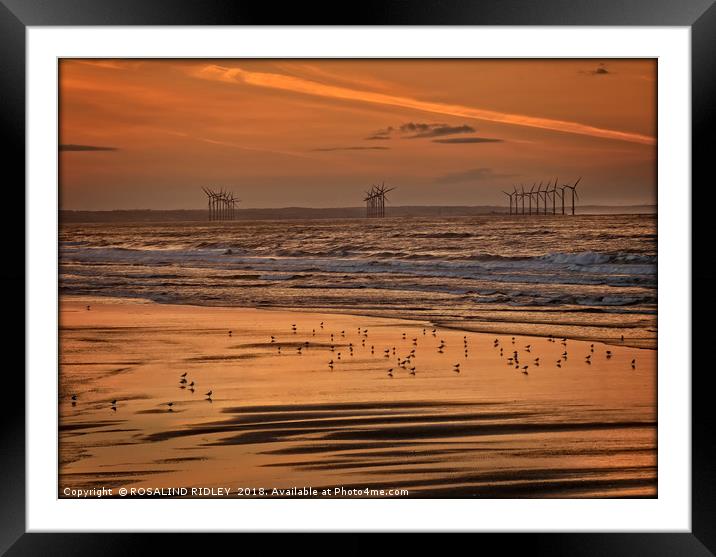"Bronze sunset at Saltburn " Framed Mounted Print by ROS RIDLEY