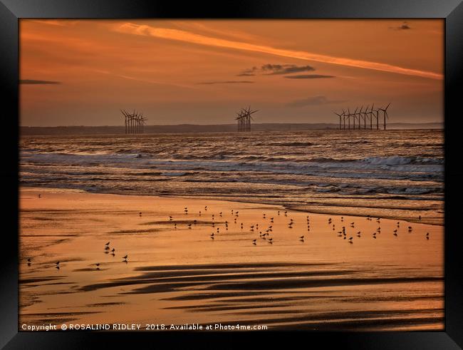 "Bronze sunset at Saltburn " Framed Print by ROS RIDLEY
