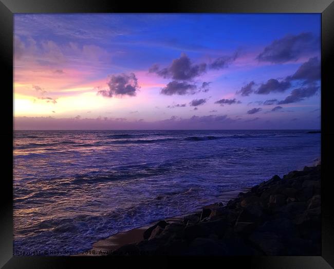 Sri Lanka Coast Line at Dusk Framed Print by Ross Malin