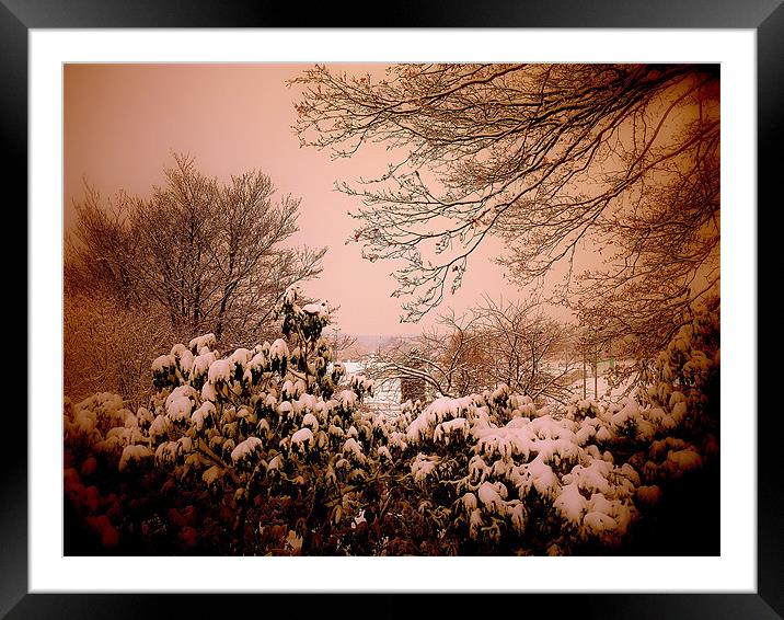 Warm Snow! Framed Mounted Print by Louise Godwin