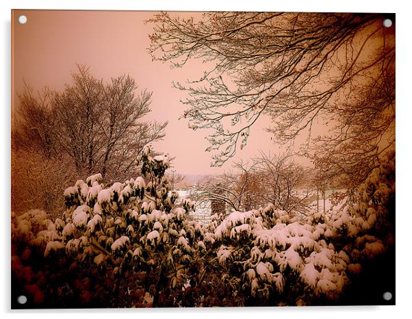 Warm Snow! Acrylic by Louise Godwin