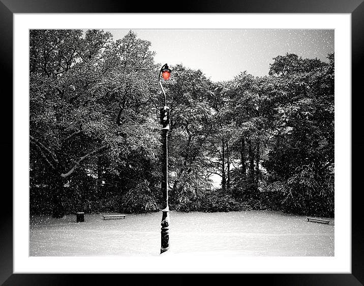 Lampost Framed Mounted Print by Louise Godwin
