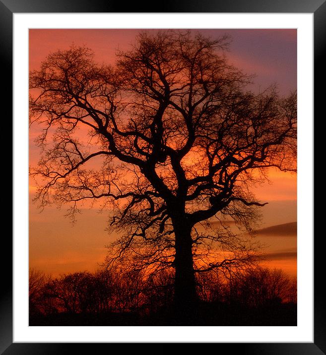 under a blood red sky Framed Mounted Print by pauline morris