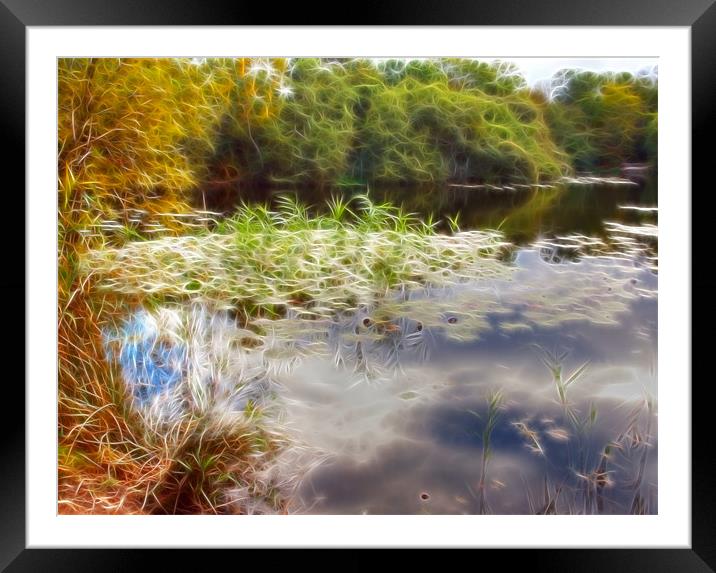 Epping Forest Fractals Framed Mounted Print by David French