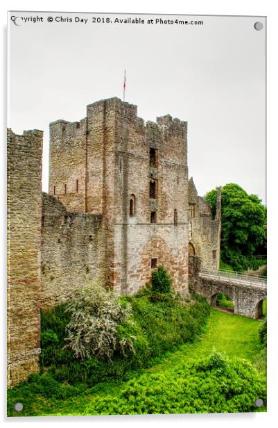 Ludlow Castle  Acrylic by Chris Day