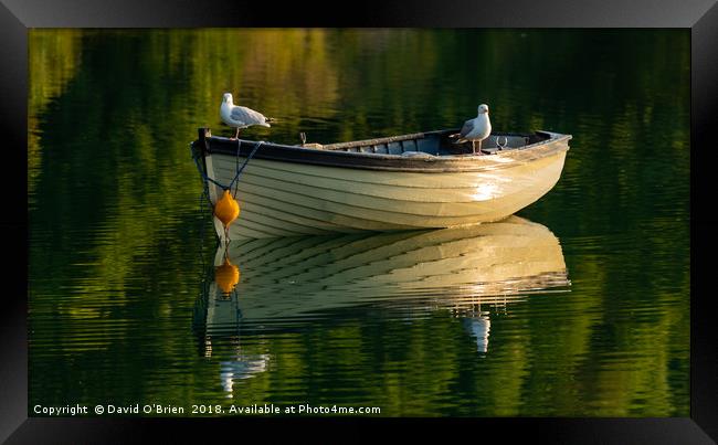 Lough Hyne, West Cork. Framed Print by David O'Brien