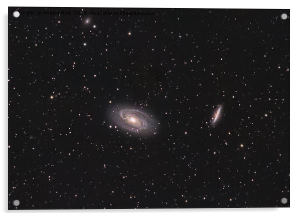 Bodes Galaxy. Acrylic by Angela Aird