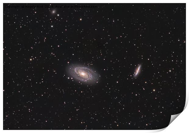 Bodes Galaxy. Print by Angela Aird