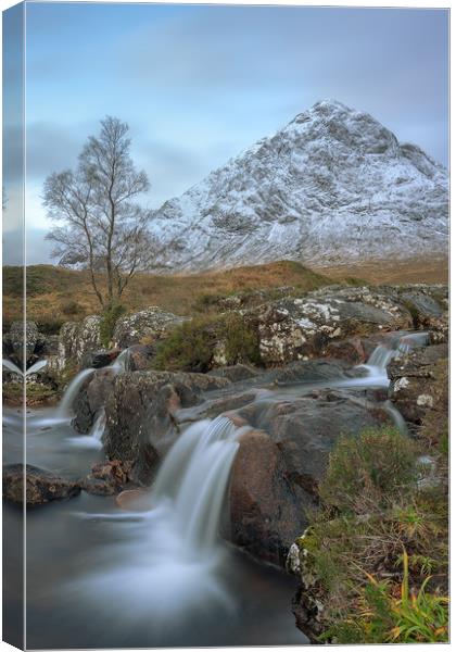 The herdsman of Etive, Scotland Canvas Print by Miles Gray