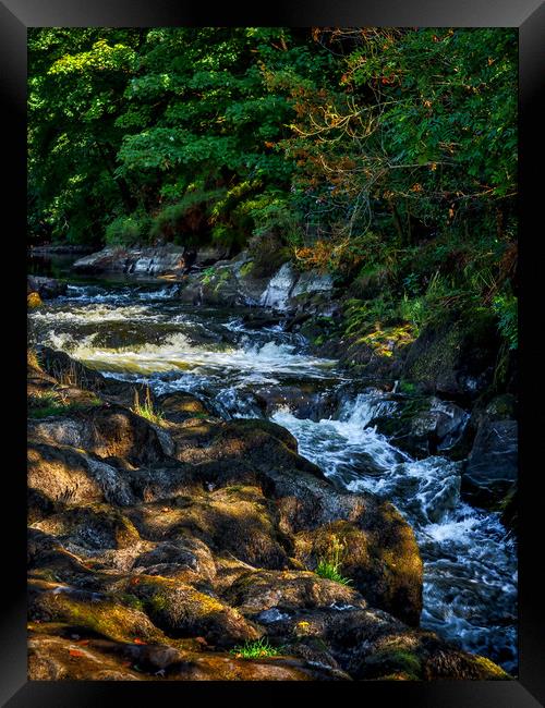 Cenarth Falls, Carmarthenshire, Wales, UK Framed Print by Mark Llewellyn