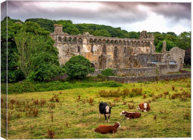 St Davids Bishops Palace, St Davids, Pembrokeshire Canvas Print by Mark Llewellyn