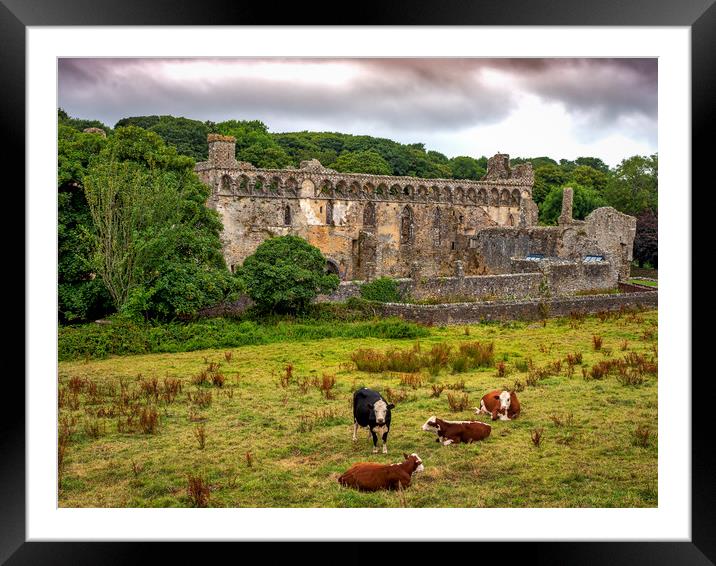 St Davids Bishops Palace, St Davids, Pembrokeshire Framed Mounted Print by Mark Llewellyn