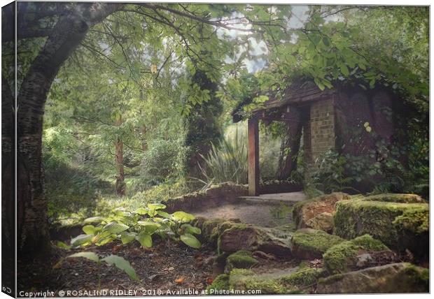 "Little Arbour in the woods" Canvas Print by ROS RIDLEY