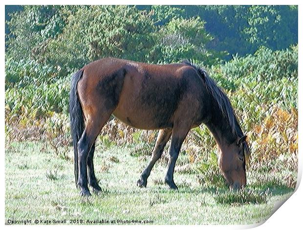 Grazing Alone Print by Kate Small