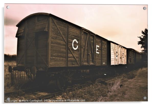 Old Railway Wagons Acrylic by Marie Castagnoli