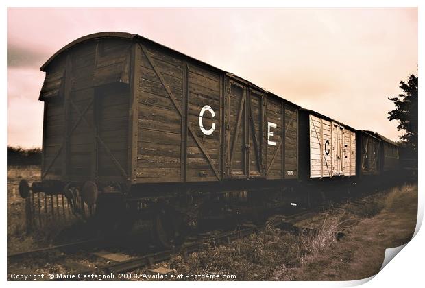 Old Railway Wagons Print by Marie Castagnoli