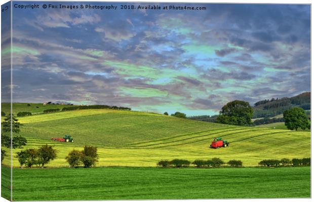 Yorkshire landscape Canvas Print by Derrick Fox Lomax