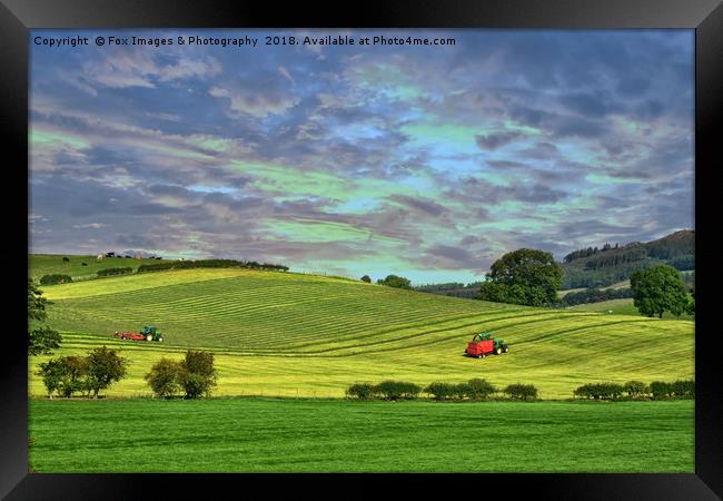 Yorkshire landscape Framed Print by Derrick Fox Lomax