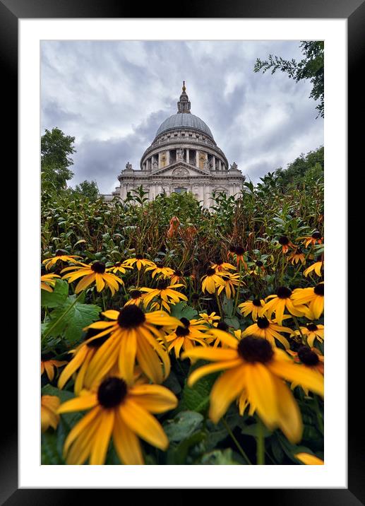 St Paul's Cathedral Framed Mounted Print by Jason Connolly