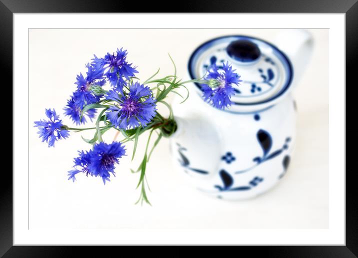 Cornflower for Tea Framed Mounted Print by Kasia Design