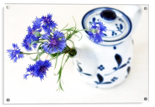 Cornflower for Tea Acrylic by Kasia Design