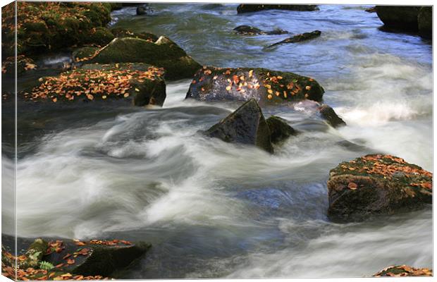 Light, Autumn Leaves and rocky waters Canvas Print by pauline morris
