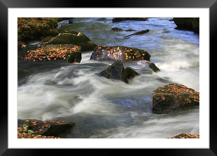 Light, Autumn Leaves and rocky waters Framed Mounted Print by pauline morris