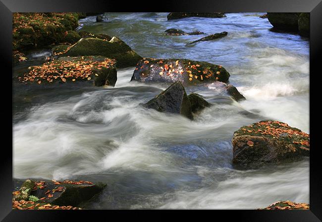 Light, Autumn Leaves and rocky waters Framed Print by pauline morris