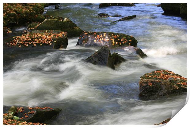 Light, Autumn Leaves and rocky waters Print by pauline morris