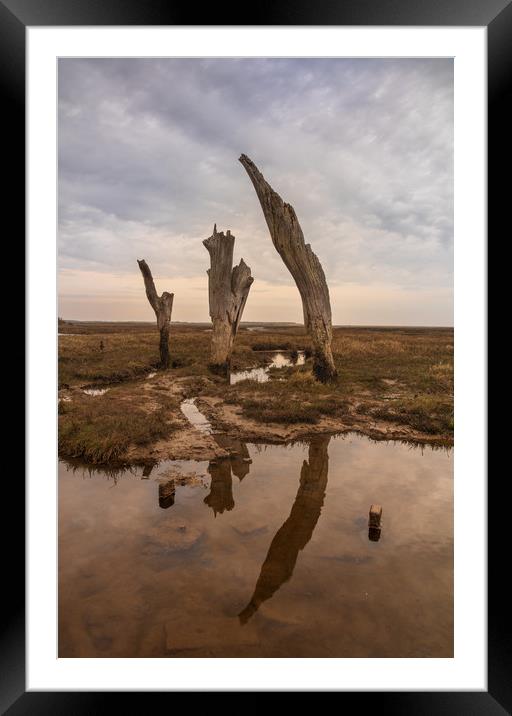 Thornham Staithe posts Framed Mounted Print by Graeme Taplin Landscape Photography