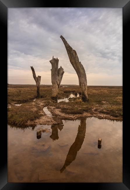 Thornham Staithe posts Framed Print by Graeme Taplin Landscape Photography