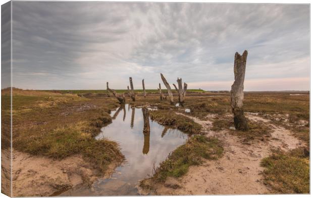 Old timber posts Thornham Norfolk at low tide.  Canvas Print by Graeme Taplin Landscape Photography