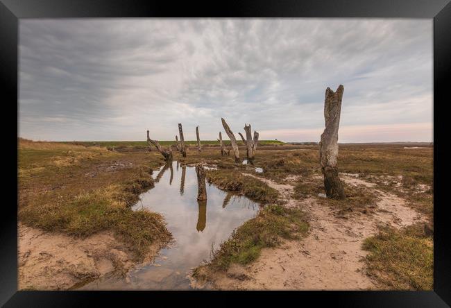 Old timber posts Thornham Norfolk at low tide.  Framed Print by Graeme Taplin Landscape Photography