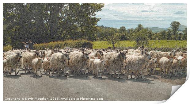 Sheep Round Up Time                       Print by Kevin Maughan