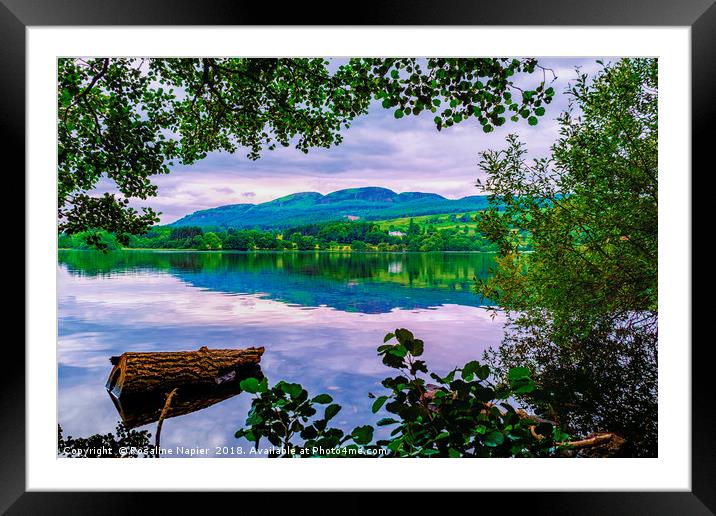 Lake of Menteith Framed Mounted Print by Rosaline Napier