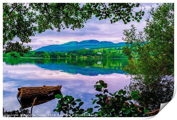 Lake of Menteith Print by Rosaline Napier